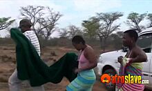 Homens africanos e caucasianos se envolvem em uma orgia ao ar livre com swingers e amadores
